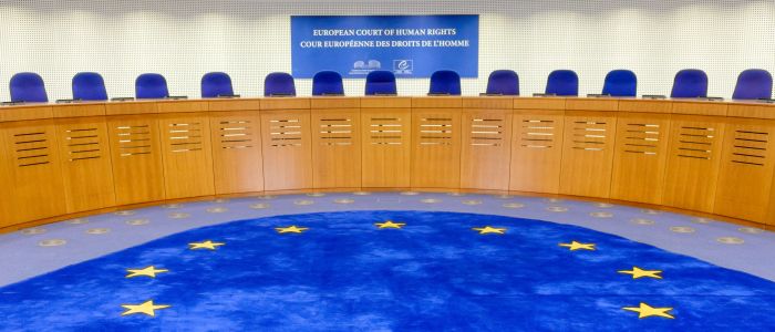 European Court of Human Rights interior chamber