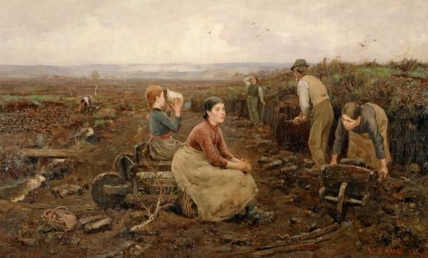 A Galloway Peat Moss, William Stewart MacGeorge, 1888. CC-BY-NC National Galleries Scotland