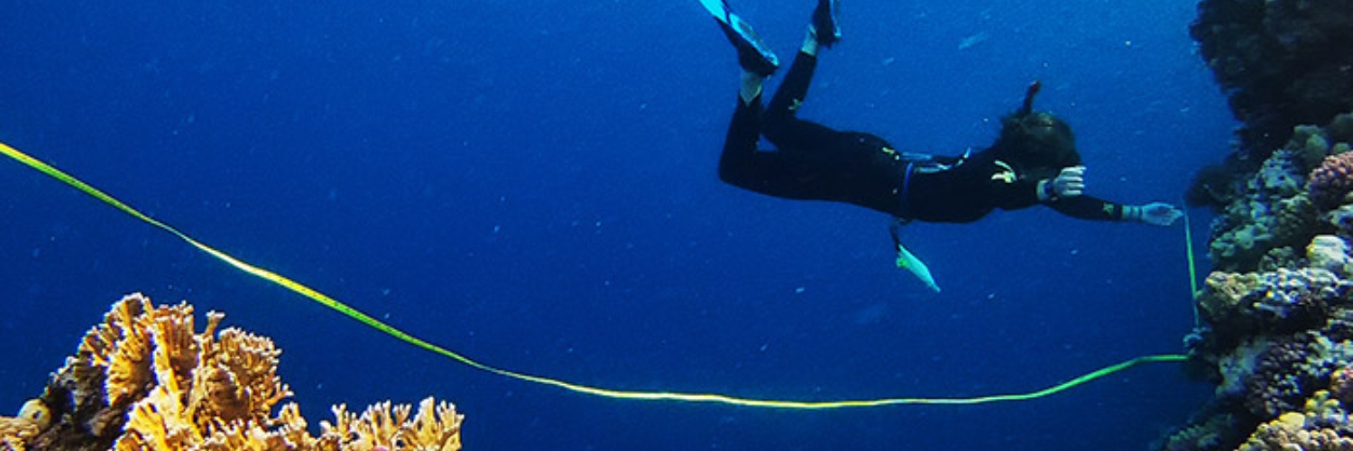 BOHVM student underwater conducting coral research in the Red Sea.