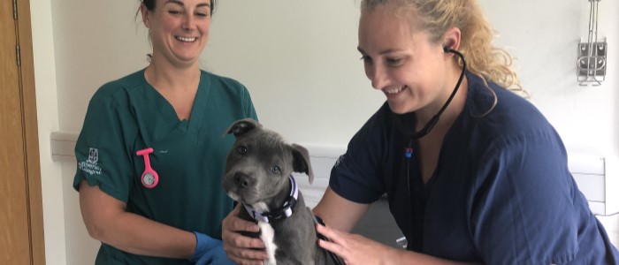 UofG vets with a puppy