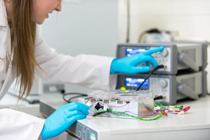 Applying nanokicks to multiple sample dishes containing stem cells.