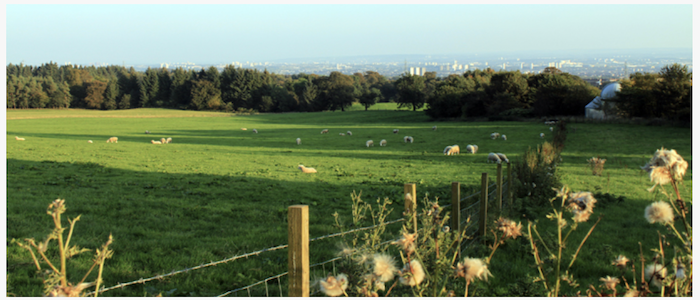 Image of a field with Glasgow in the background