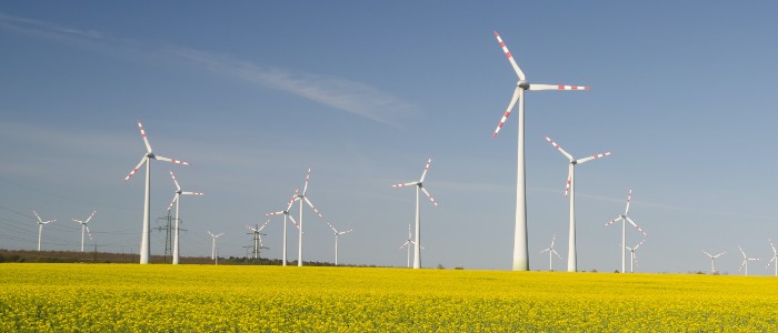 Wind turbines in a field