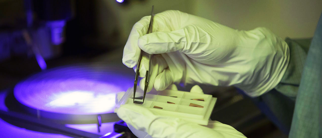 Gloved hands holding tweezers picking up a microchip