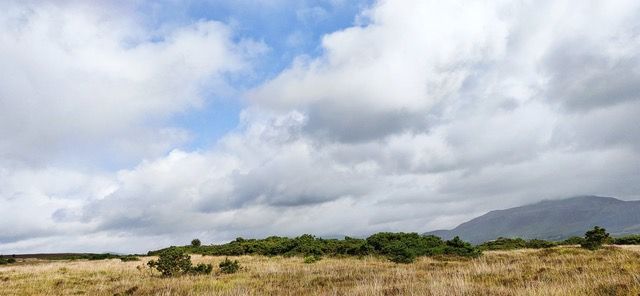 Drumadoon, Arran, re-wilding landscape. Photo credit: N. Whitehouse