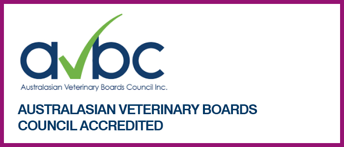 Australasian Veterinary Boards Council Accreditation logo
