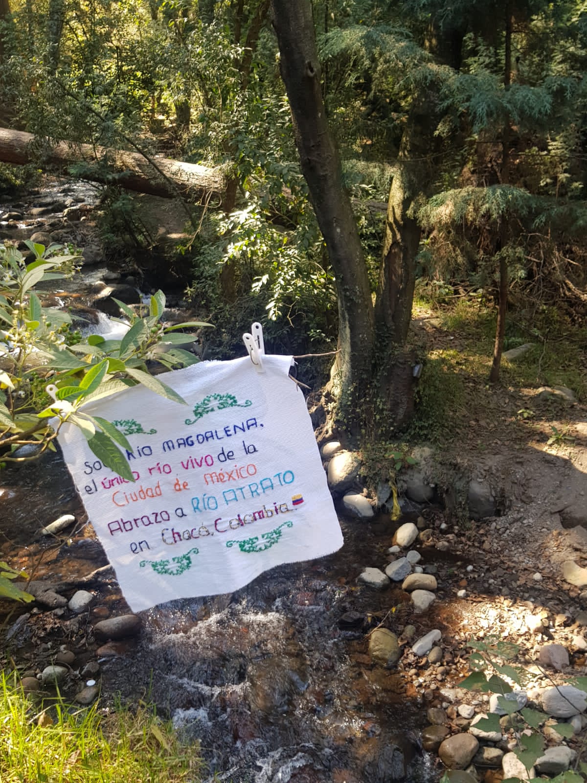 Crotched message on fabric in woodland