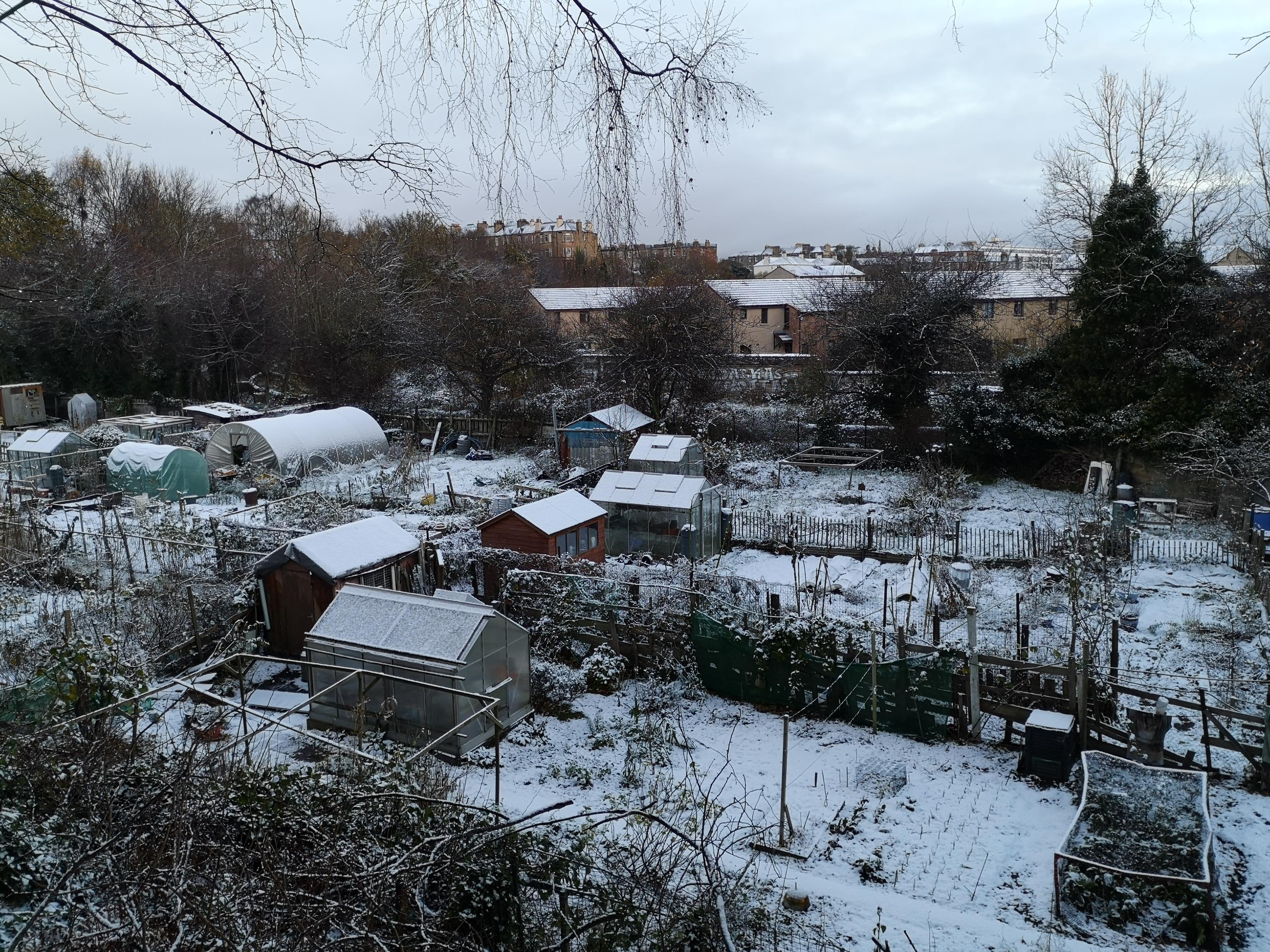 snowy allotments near flats