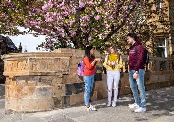 Three young students standing chatting in front of a wall and a cherry blossom tree