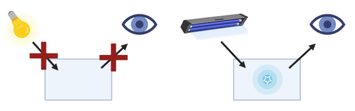 A cartoon schematic showing how invisible ink cannot absorb visible light, meaning we can't see it, but can absorb UV light and emit light we can see