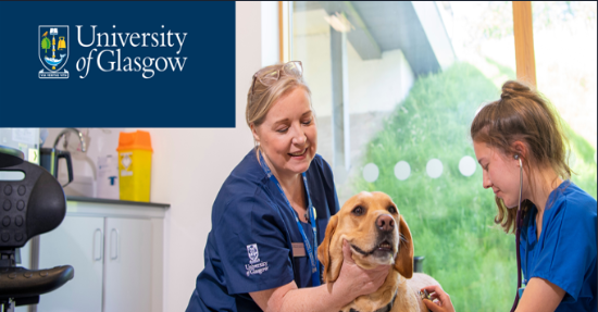 Image of two female veterinary nurses with a golden labrador