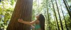 Young girl hugging a tree in a forest Source: StockstudioX Publisher: Istockphoto Link: https://www.istockphoto.com/photo/young-girl-connecting-with-nature-gm629654224-112105583?clarity=false