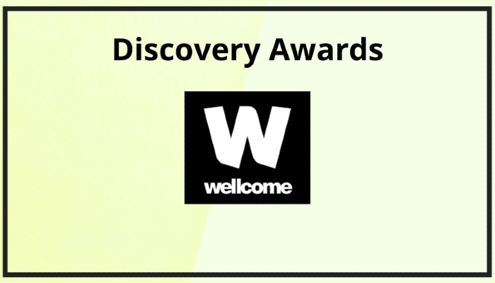 A graphic on a yellow background with the Wellcome logo and Discovery Awards text above in black