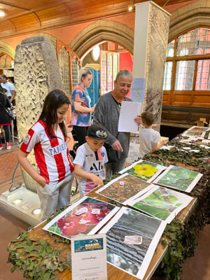 Photograph showing an adult with two children looking at images of different animal camouflage. 