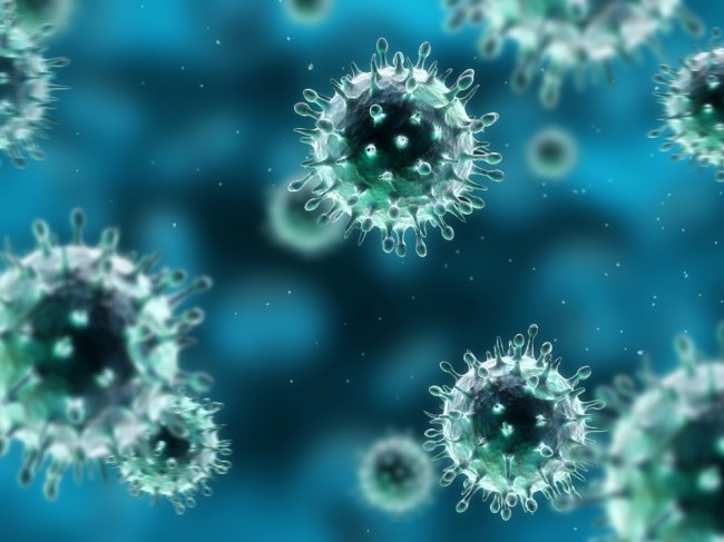 Flu virus particle