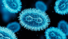 A microscopic image of the Monkeypox virus