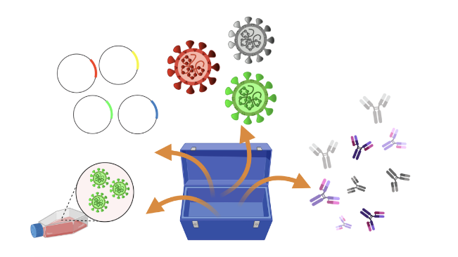 Cartoon style diagram of the different aspects of this toolkit. 