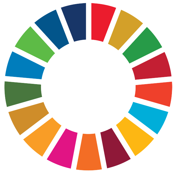 UN SDG colour wheel