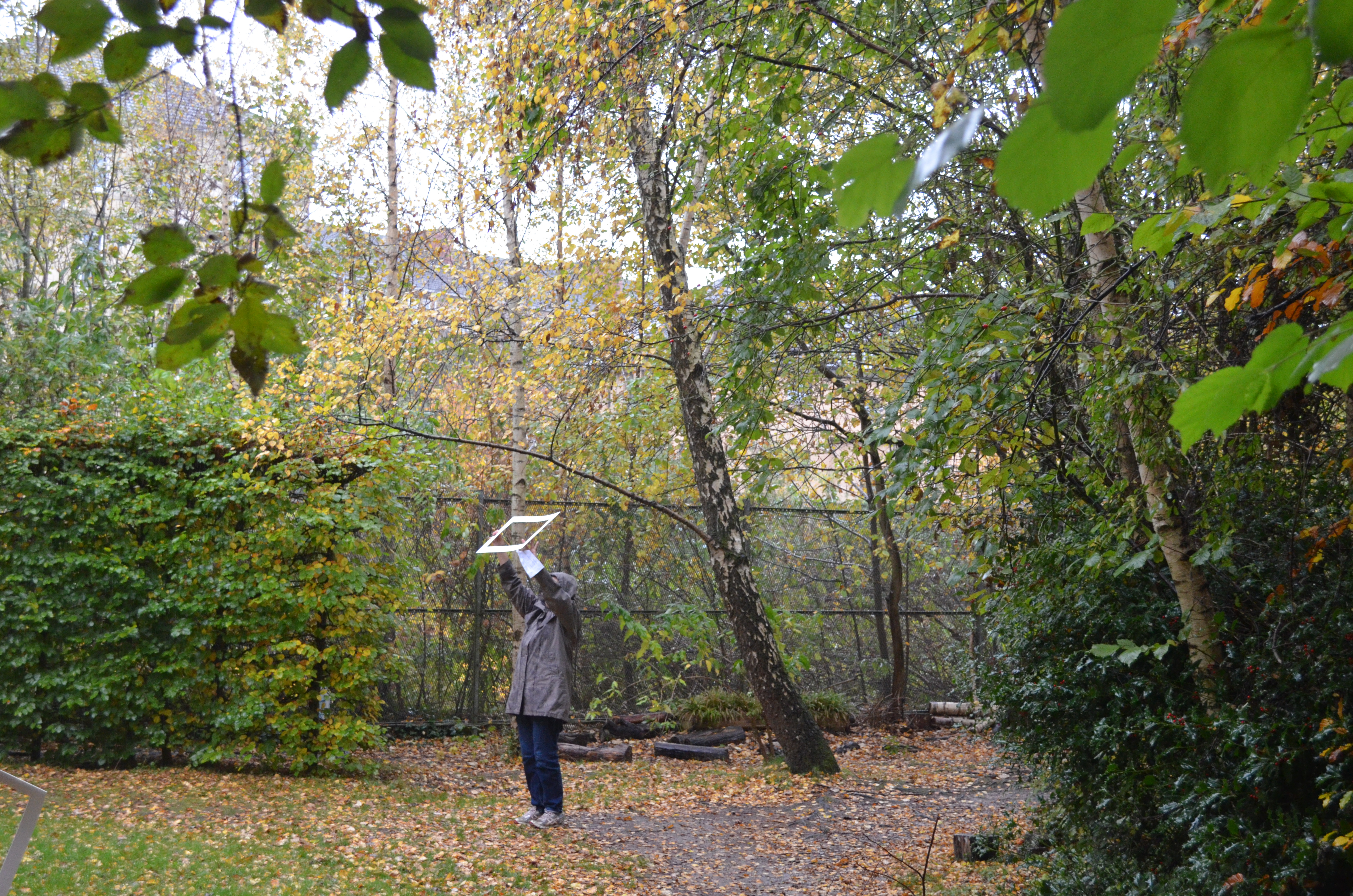 a participant of the Wintering Well workshop looks up through trees at a wintery sky using their sky frame to reflect on the way the skies make them feel