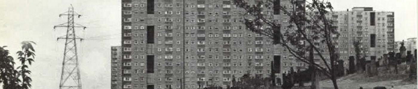 Sighthill flats, P. Jephcott and H. Robinson, Homes in High Flats 