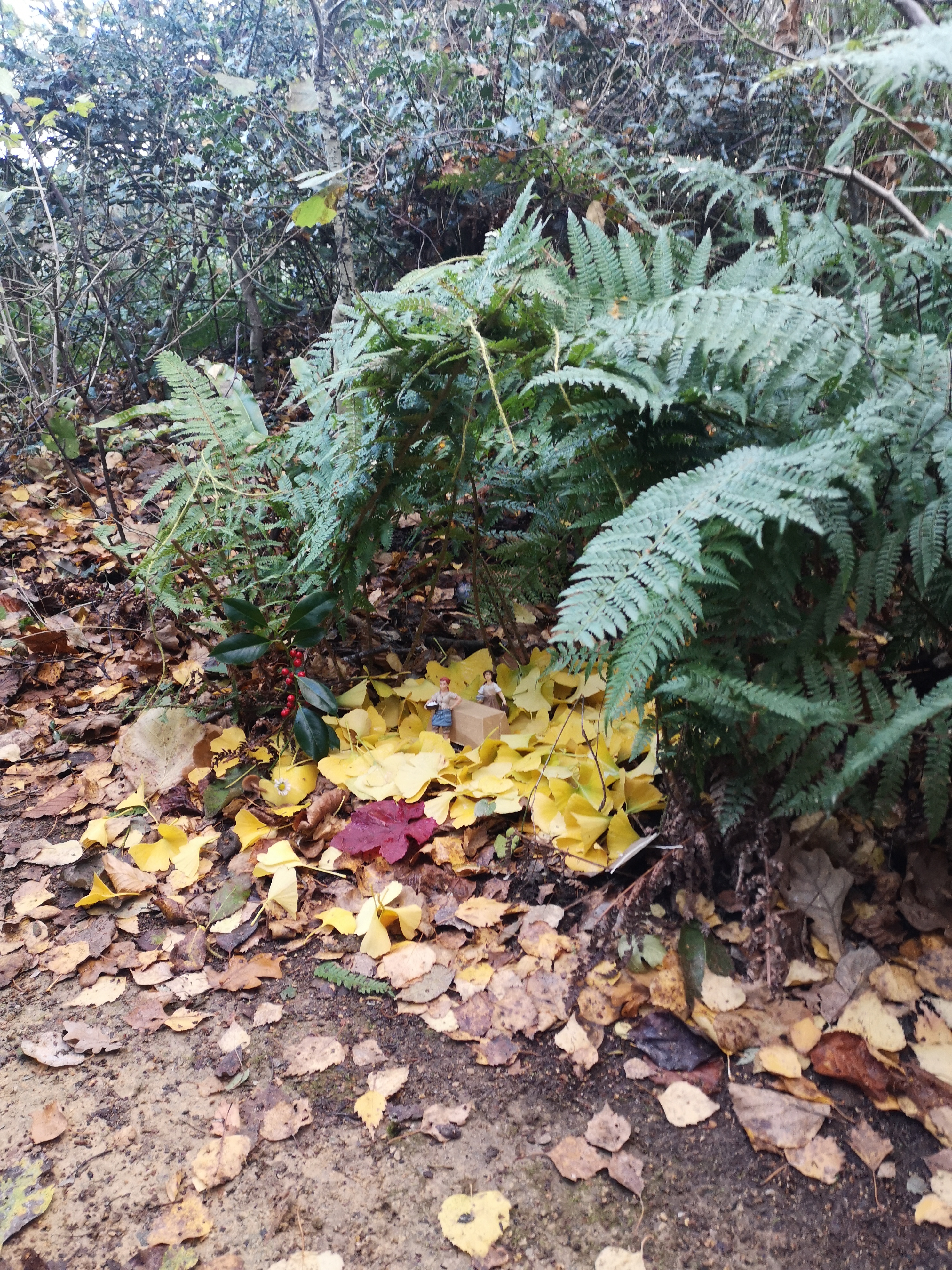 a small hand-made shelter under fern leaves brightened by a carpet of ginkgo leaves