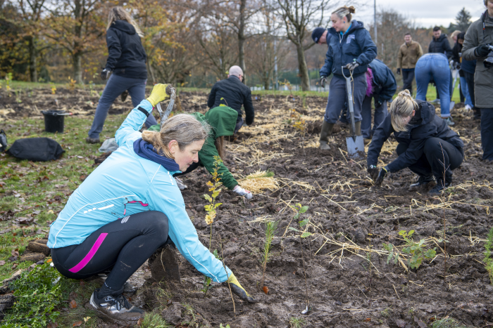 Tiny Forest volunteers planting