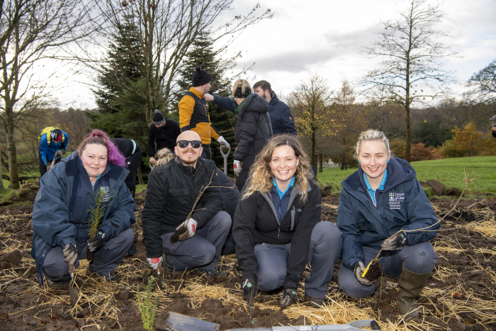 Tiny Forest - Volunteers 2