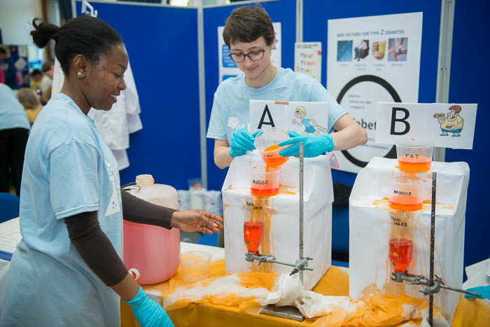 Photograph showing two GSF in Action students with stands labelled A and B containing fluids labelled fat, muscle and blood sugar. 