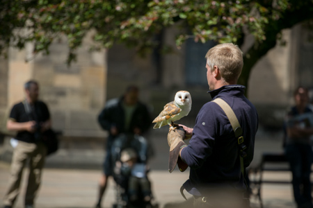 Photograph showing a man holding an owl. 