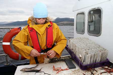 Photograph of GSF director Dr Deborah McNeill measuring the shellfish that have been caught. 
