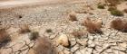 Brown soil that has cracked for lack of water and small withered plants that are suffering from drought Source: LuCaAr | iStockphoto https://www.istockphoto.com/photo/arid-and-waste-land-gm614610072-106407119