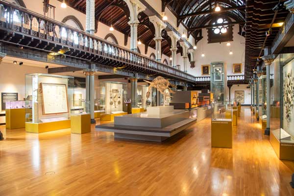 Pleisosaur skeleton and other objects in the Hunterian Museum main hall