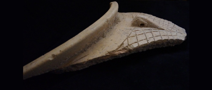 bone