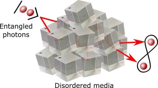 A diagram showing how photons can maintain their quantum-entangled state through a disordered medium