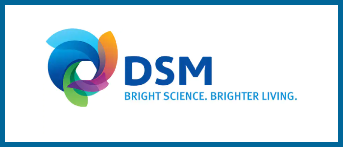 DSM Logo