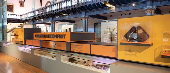 Curating Discomfort intervention in the Hunterian Museum