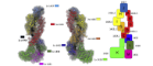 Cryo-EM map of SsoCsm with fitted structure and schematic diagram showing subunits