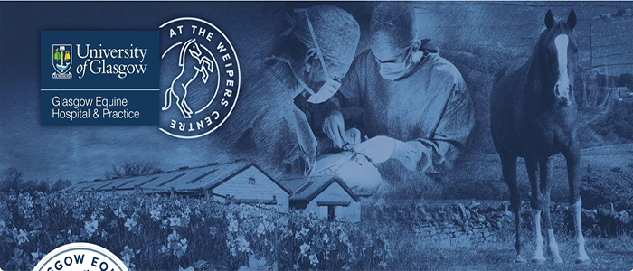 Banner image with the hospital name and a graphic of a vet and a horse