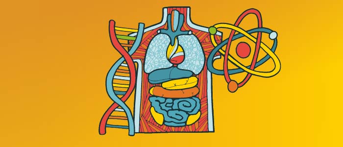 Cartoon image of a human torso with visible organs surrounded by atoms and DNA molecules. 