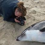Image of Mariel ten Doeschate taking a picture of a dolphin