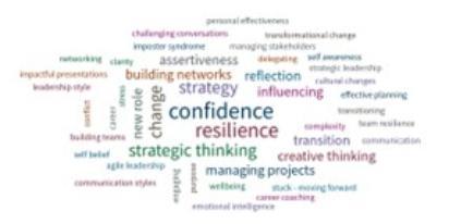 Coaching word cloud