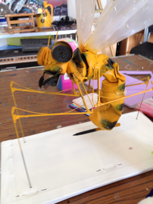 Photograph of a wasp made out of litter collected from the canal. 