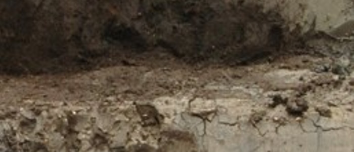 Past in present soils: Leveraging development-led archaeological data to generate insights into urban soil development and soil health 