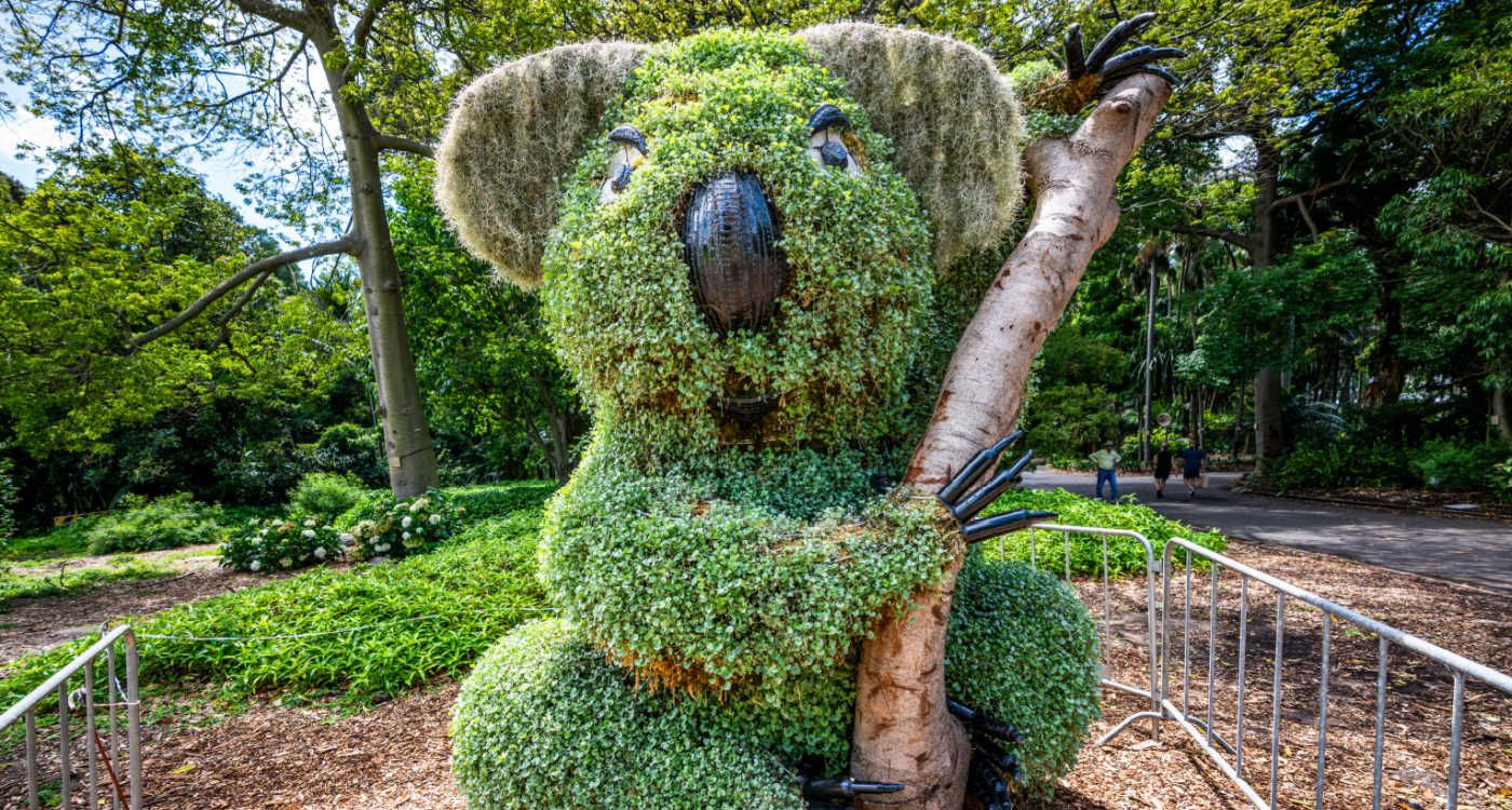 Koala shaped bush in Royal botanic garden in Sydney [photo: Shutterstock]
