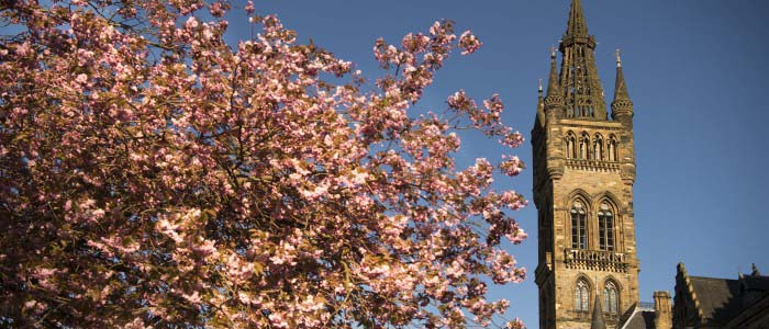 Image of a spire at the University of Glasgow and blossom tree