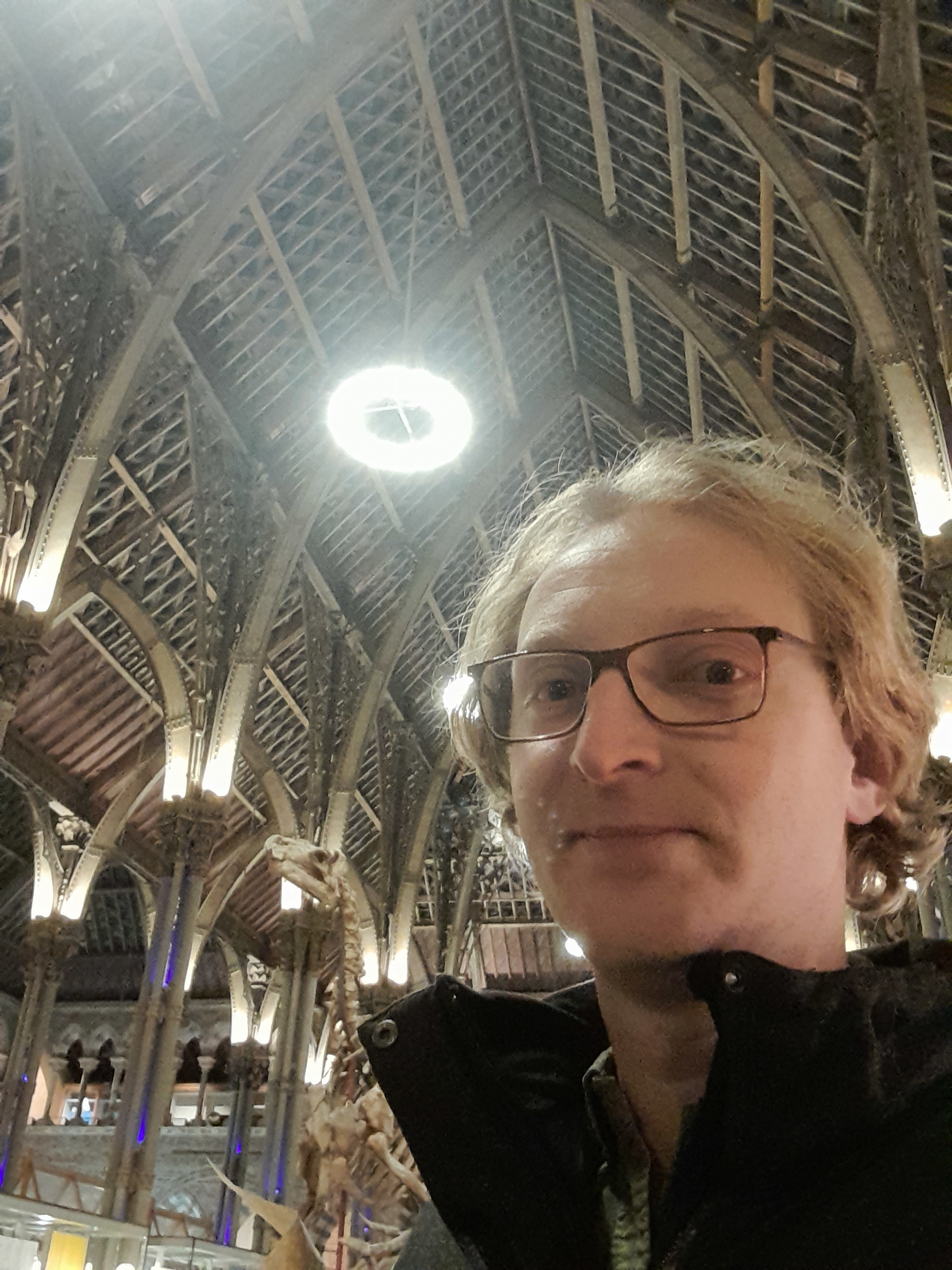 A picture of a scholar, Will Tattersdill, standing by night in the Oxford University Museum of Natural History.