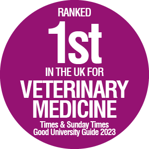 1st in the UK for Veterinary Medicine
