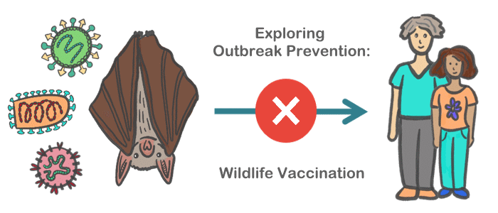 This image shows a cartoon of a bat surrounded by viruses. There is an arrow with a large red cross pointing towards two people, above the arrow there are the words 'Exploring Outbreak Prevention:' and below the arrow the words 'Wildlife Vaccination'.  
