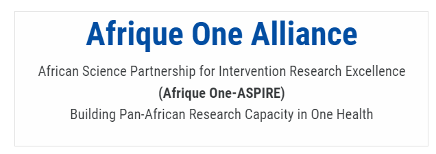 Banner taken from the Afrique One Website with the name of the organisation and description