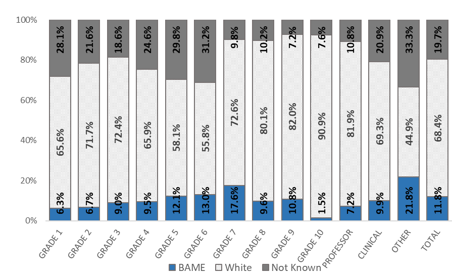 Bar chart presenting representation of colleagues by ethnicity across each Grade level at UofG. The highest proportions of BAME colleagues are seen at Grades 5, 6, 7, and Other. High percentages of colleagues have not declared their ethnicity, especially at Grades 1, 2, 4, 5, 6, and Other.